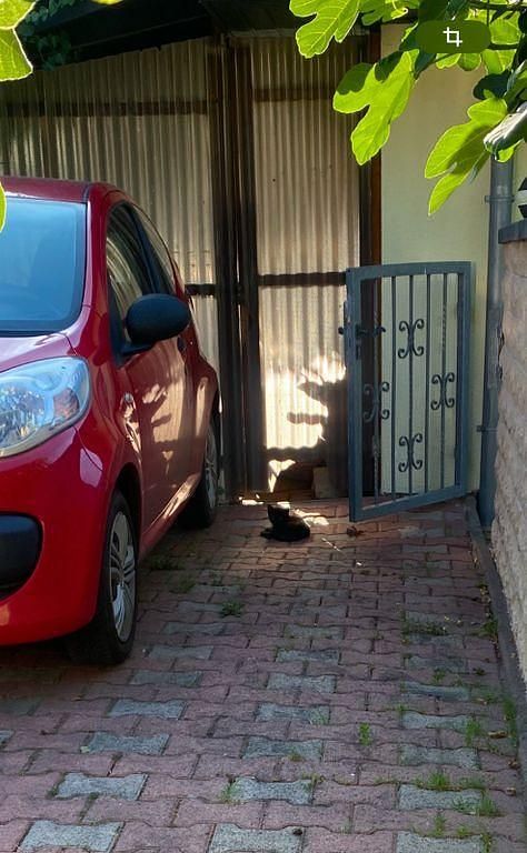 Rot Gebraucht 2006 Citroën C1 Advance Kleinwagen | 900 € (Superpreis) - Bild 1/4