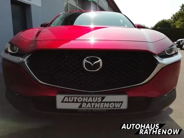 Neu Mazda CX-30 Homura-Line 186 PS (136 kW) 2025 Andere SUV