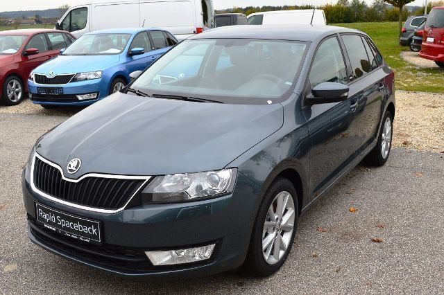 Gebraucht Skoda Rapid Joy 116 PS (85 kW) 2016 Grau metallic Kombi