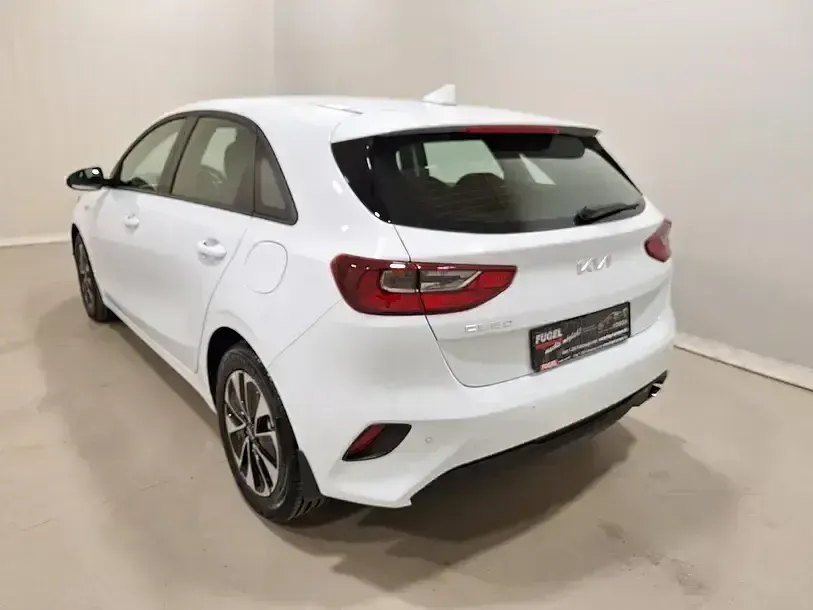 Neu Kia Ceed Play 101 PS (74 kW) 2025 Casa white Kleinwagen