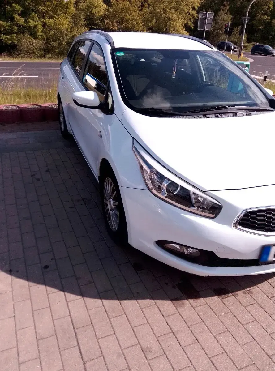 Gebraucht Kia Ceed 136 PS (100 kW) 2014 Weiß Kleinwagen