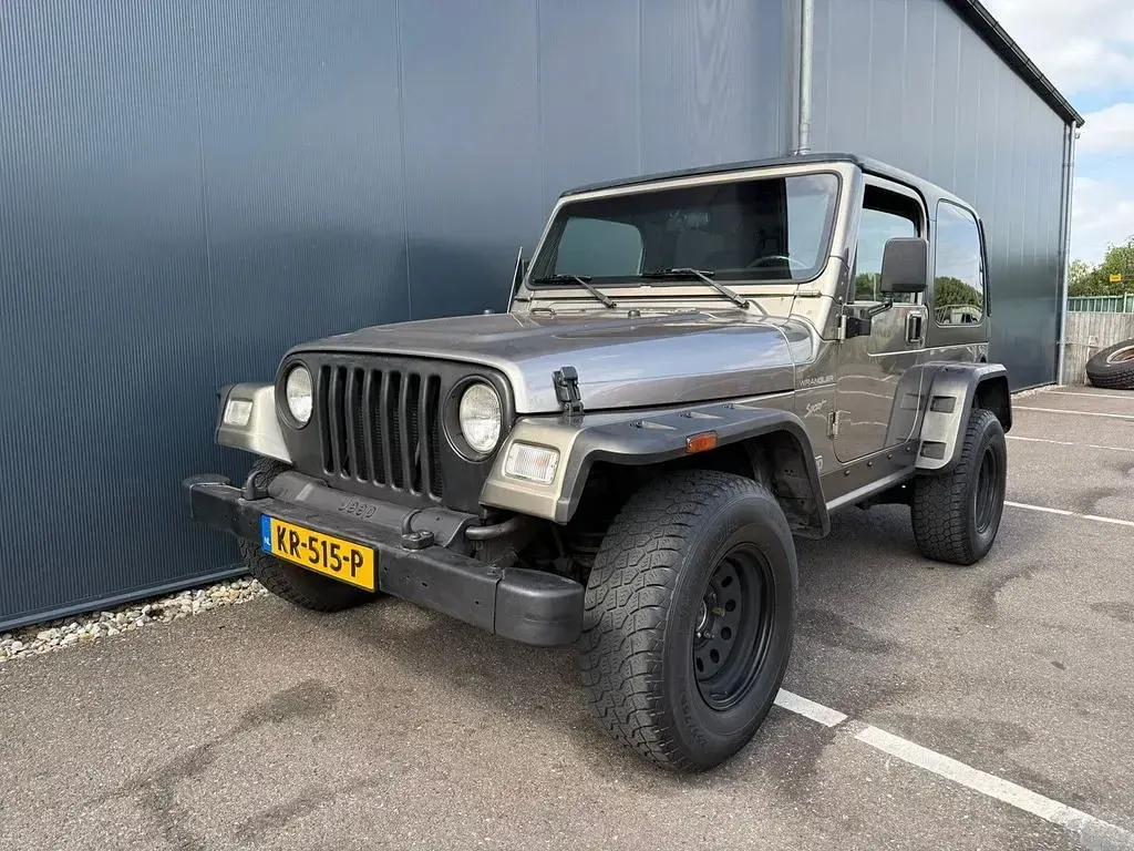 Gebraucht Jeep Wrangler 177 PS (130 kW) 2002 SUV
