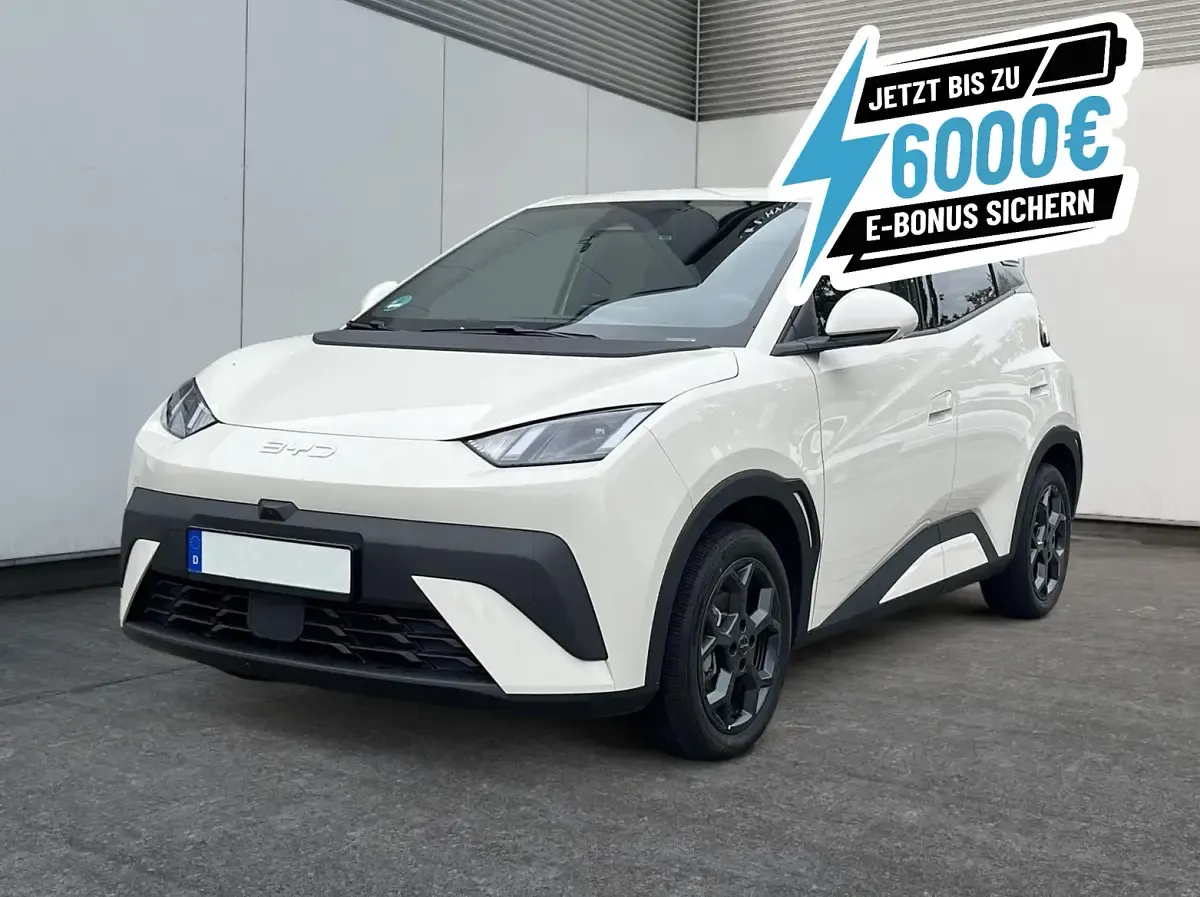 Gebraucht BYD Dolphin Surf Comfort 114 kW (156 PS) 2026 Kleinwagen