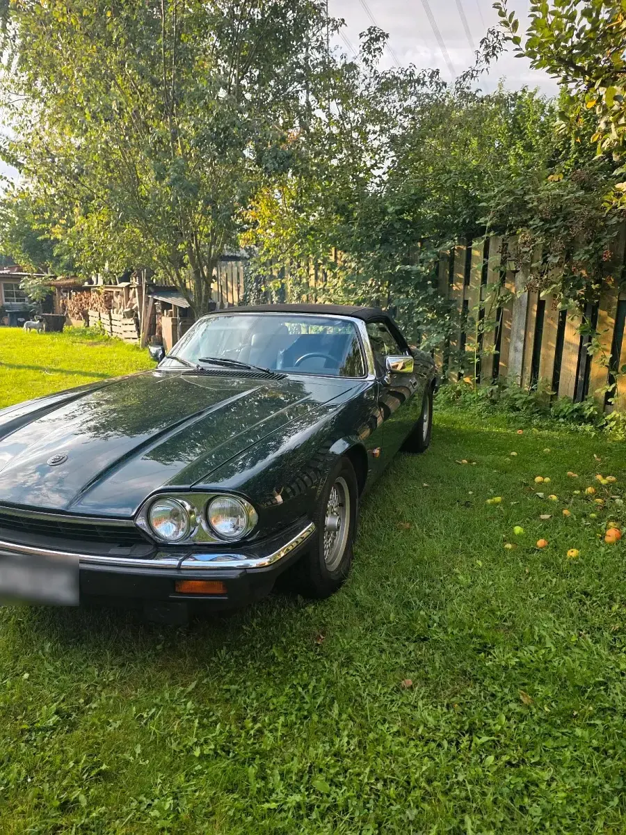 Gebraucht Jaguar XJS 225 PS (165 kW) 1994 Grün Cabrio
