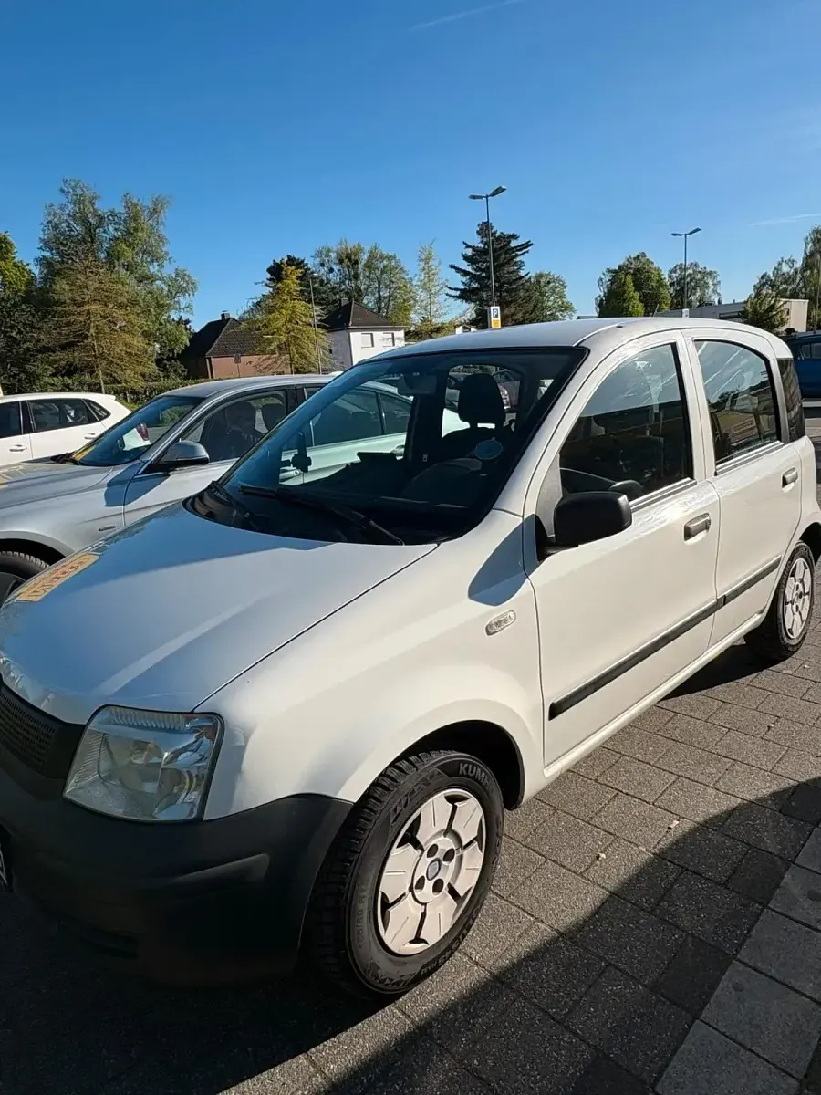 Gebraucht Fiat Panda 54 PS (39 kW) 2009 Weiß Kleinwagen