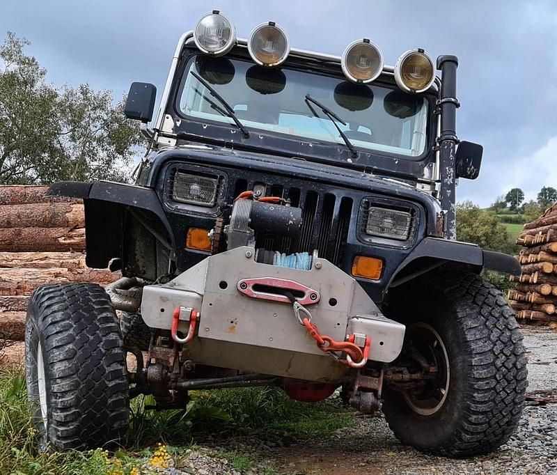 Gebraucht Jeep Wrangler 184 PS (135 kW) 1994 Schwarz SUV