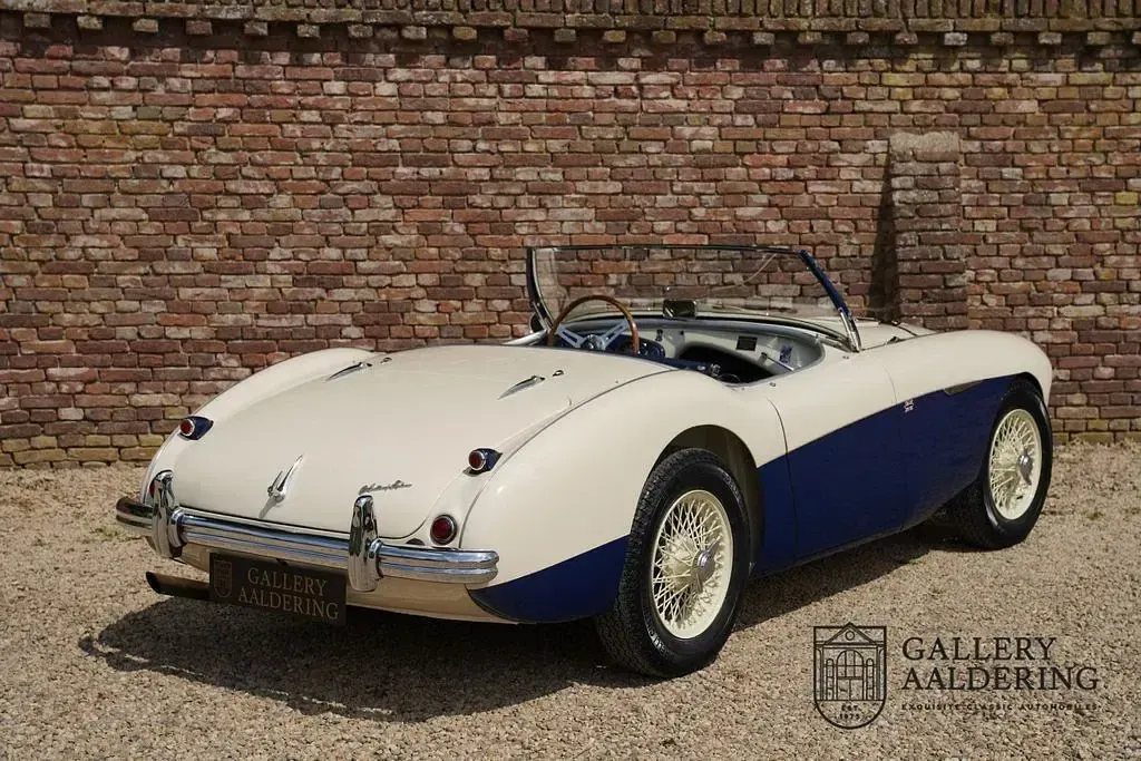 Brugt Austin Healey 100 1954 Hvid Cabriolet