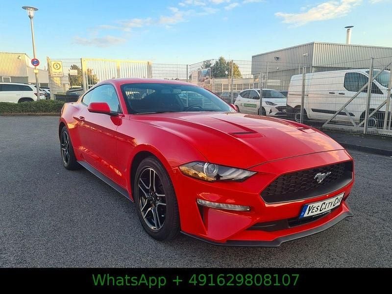 Gebraucht Ford Mustang Basis 317 PS (233 kW) 2018 Rot Coupé