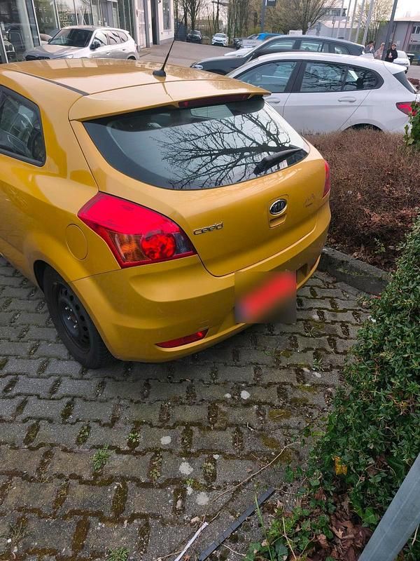 Używany Kia Ceed 126 KM (92 kW) 2009 Złoty Hatchback