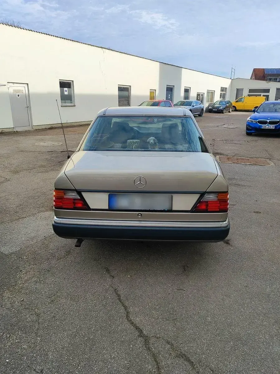Gebraucht Mercedes E200 118 PS (86 kW) 1992 Grau Kombi