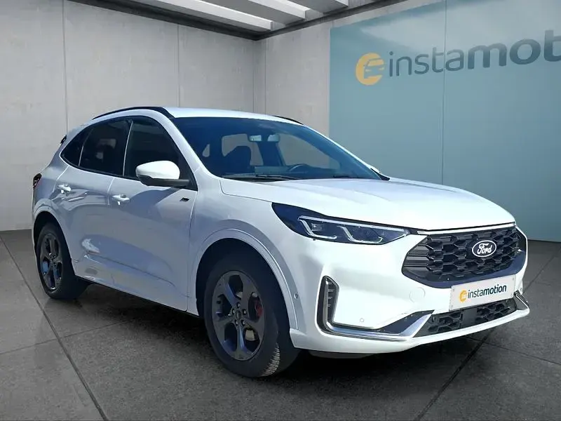 Gebraucht Ford Kuga ST-Line X 186 PS (136 kW) 2024 Weiß SUV