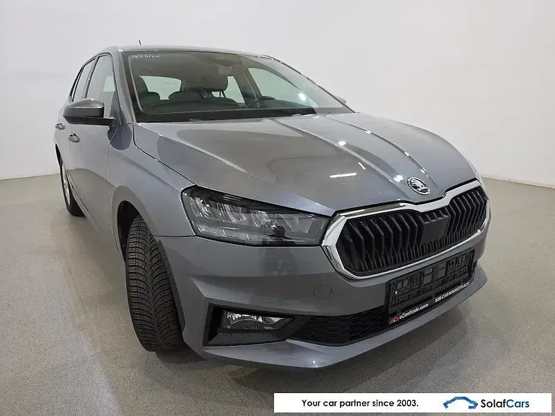 Gebraucht Skoda Fabia Ambition 110 PS (80 kW) 2022 Grau Kleinwagen