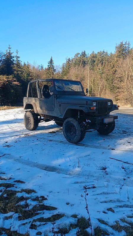 Gebraucht Jeep Wrangler 100 PS (73 kW) 1993 Grün SUV