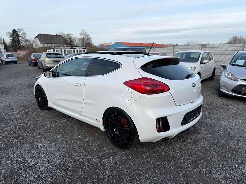 Gebraucht Kia Ceed GT-Track 204 PS (150 kW) 2015 (hw2) deluxeweiss met. Kleinwagen