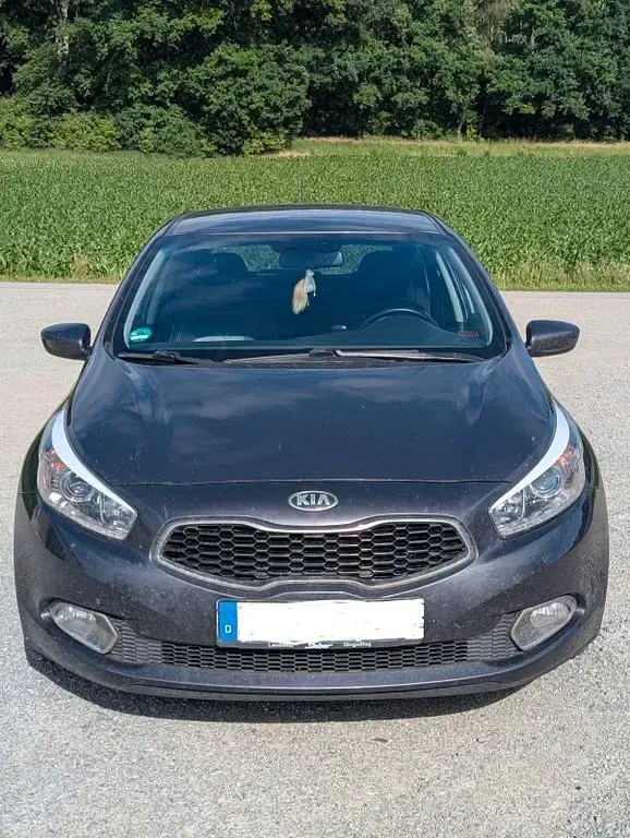 Gebraucht Kia Ceed DREAM-TEAM Edition 136 PS (100 kW) 2015 Grau Kleinwagen