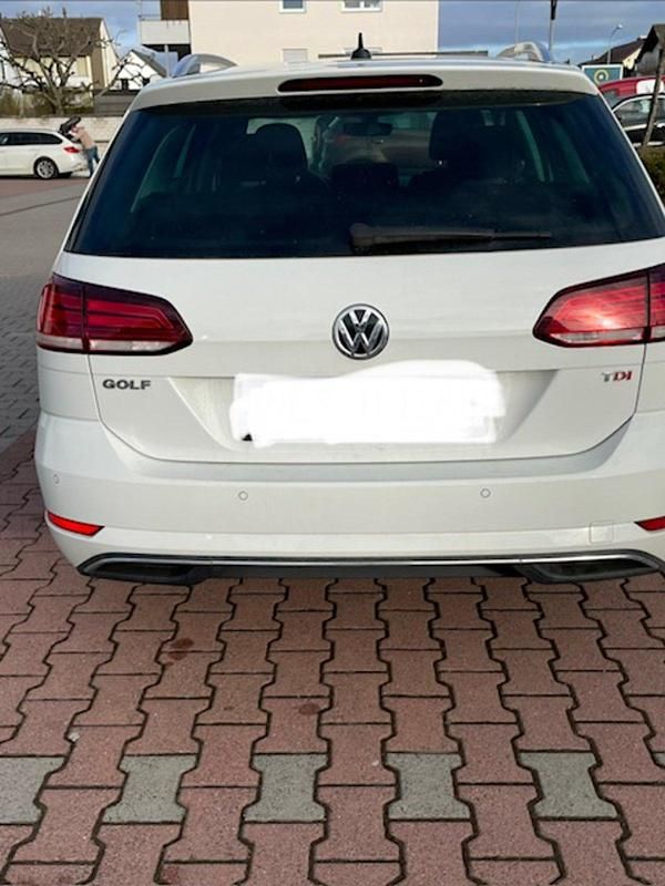 Gebraucht VW Golf VII 115 PS (84 kW) 2018 Weiß Kombi