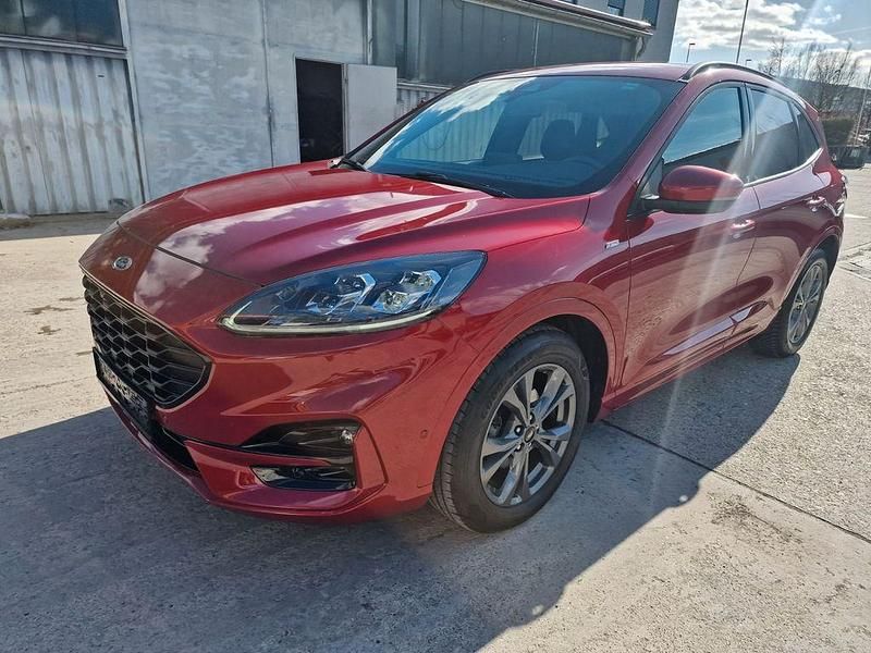 Gebraucht Ford Kuga ST-Line X 150 PS (110 kW) 2020 Rot SUV