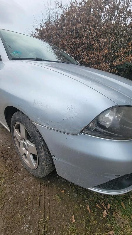 Gebraucht Seat Ibiza 2006 Silber Kleinwagen