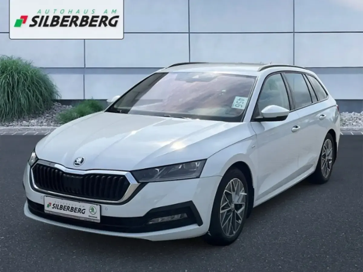 Gebraucht Skoda Octavia Ambition 150 PS (110 kW) 2023 Moonweiß perleffekt Kombi