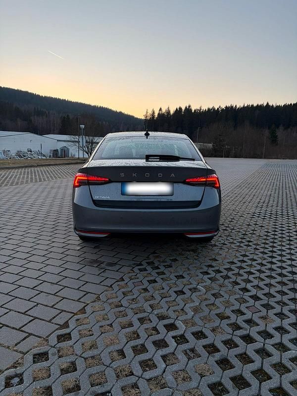 Gebraucht Skoda Octavia 115 PS (84 kW) 2025 Grau Limousine