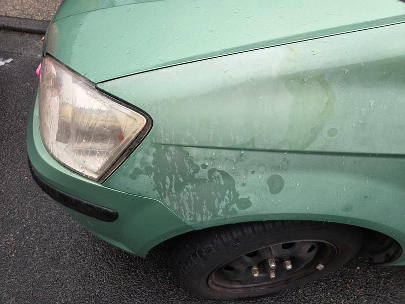 Gebraucht Hyundai Getz 63 PS (46 kW) 2003 Grün Kleinwagen