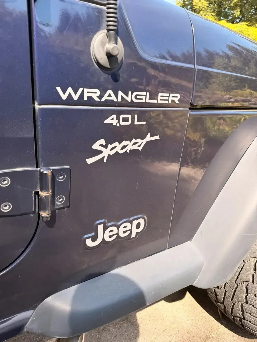 Gebraucht Jeep Wrangler Sport 177 PS (130 kW) 1999 Violet SUV