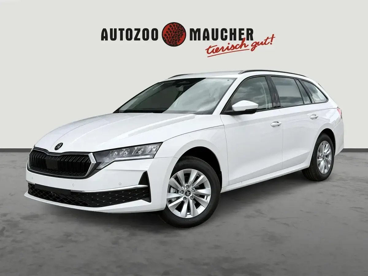 Neu Skoda Octavia Selection 150 PS (110 kW) 2026 Candyweiss Kombi