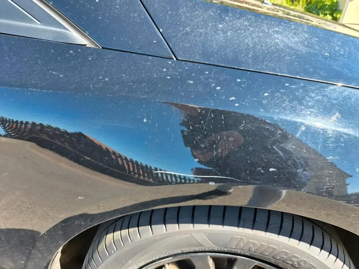 Usata Ford Focus 125 CV (91 kW) 2018 Nero Station wagon