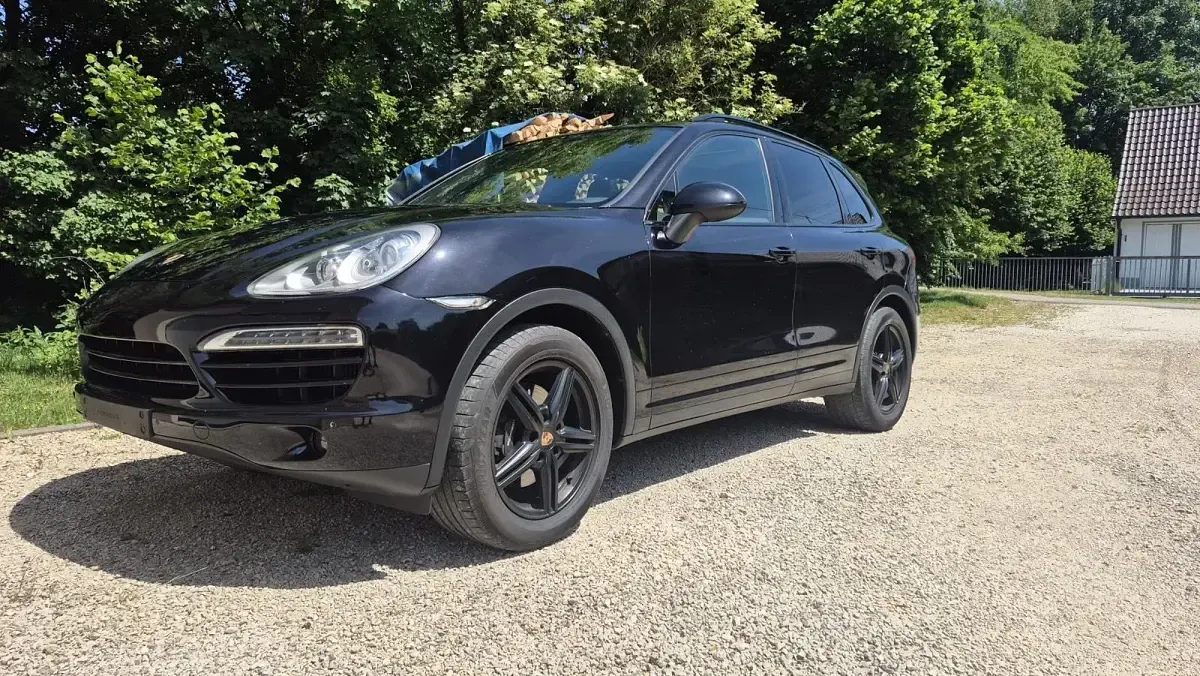 Gebraucht Porsche Cayenne 245 PS (180 kW) 2014 Schwarz SUV