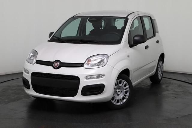 Neu Fiat Panda 69 PS (50 kW) 2025 Weiß, weiß uni Kleinwagen