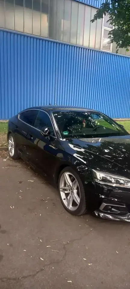 Gebraucht Audi A5 S-Line 231 PS (169 kW) 2019 Coupé
