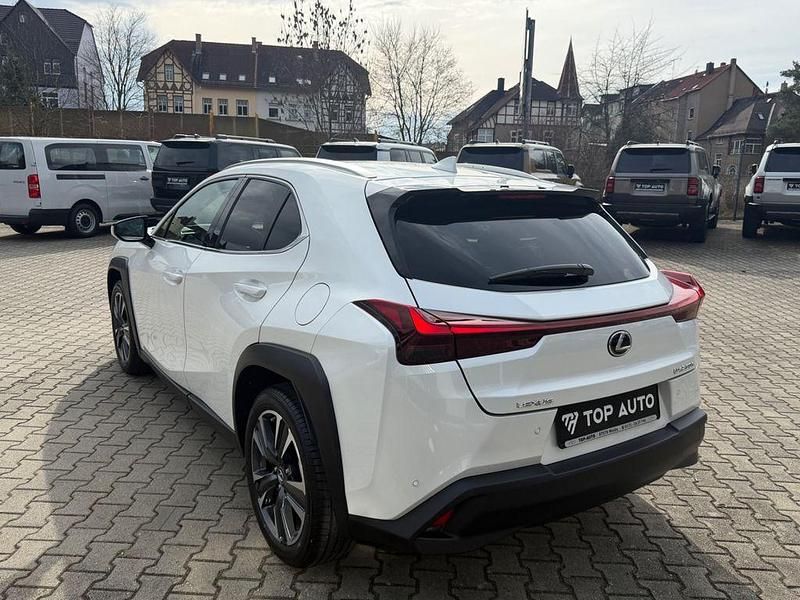 Gebraucht Lexus UX 250h 184 PS (135 kW) 2024 Weiß SUV