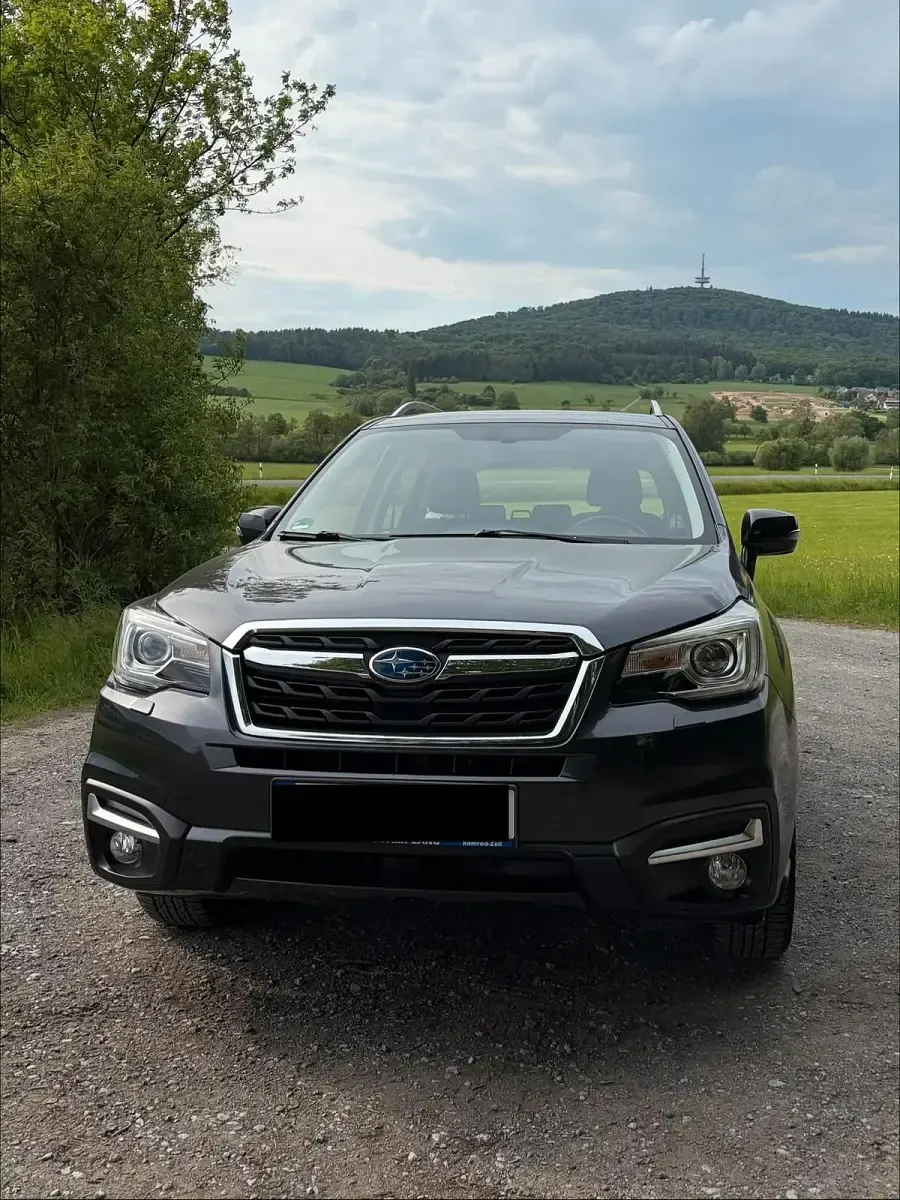 Gebraucht Subaru Forester Active 147 PS (108 kW) 2016 Grau SUV