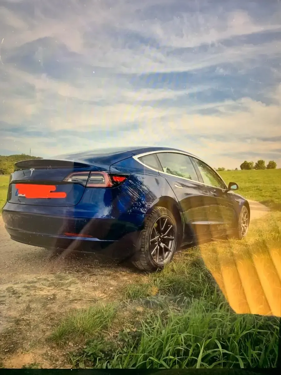 Käytetty Tesla Model 3 225 kW (306 HP) 2019 Sininen Sedan