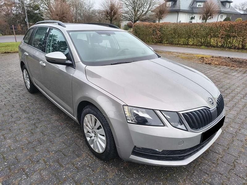 Gebraucht Skoda Octavia Ambition 150 PS (110 kW) 2019 Cappuccinobeige metallic Kombi