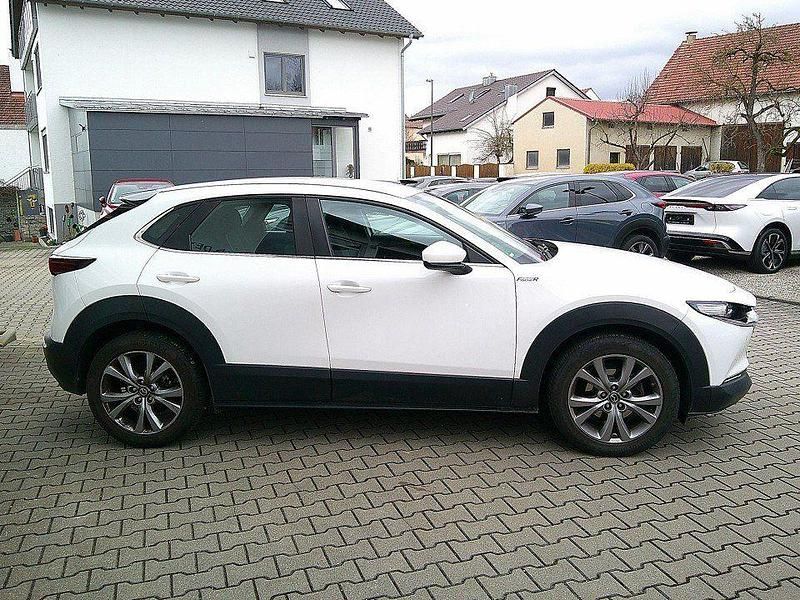 Gebraucht Mazda CX-30 Selection 150 PS (110 kW) 2023 Weiß SUV