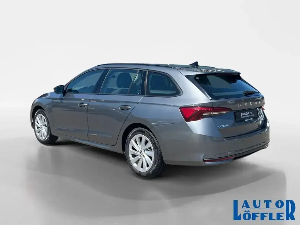 Gebraucht Skoda Octavia Selection 150 PS (110 kW) 2024 Grau Kombi
