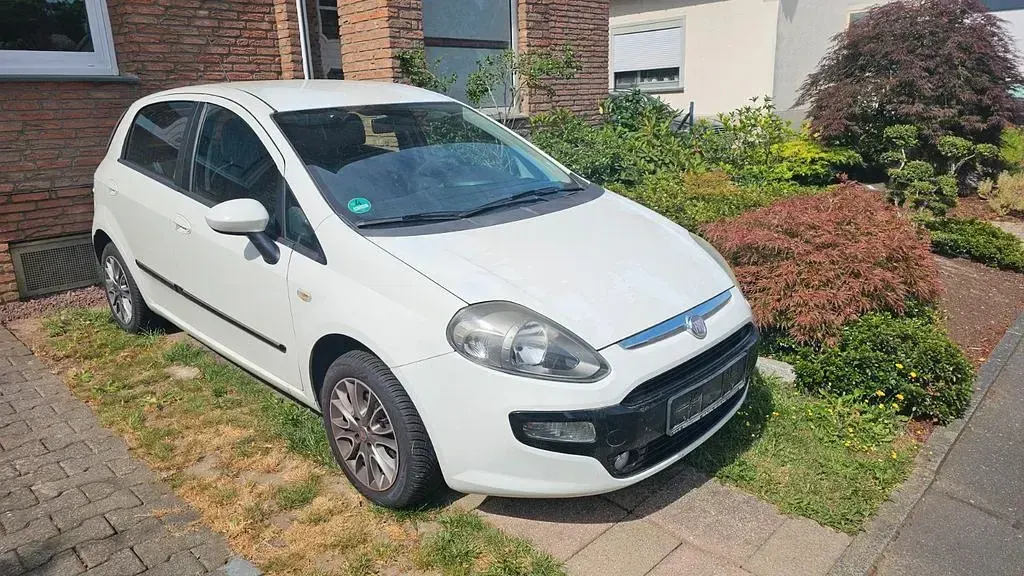 Gebraucht Fiat Punto 68 PS (50 kW) 2011 Weiß Kleinwagen