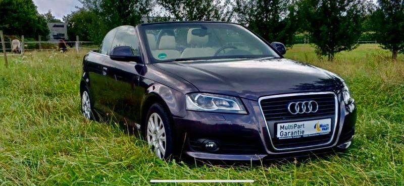 Gebraucht Audi A3 Cabriolet Ambition 160 PS (117 kW) 2008 Grau Cabrio