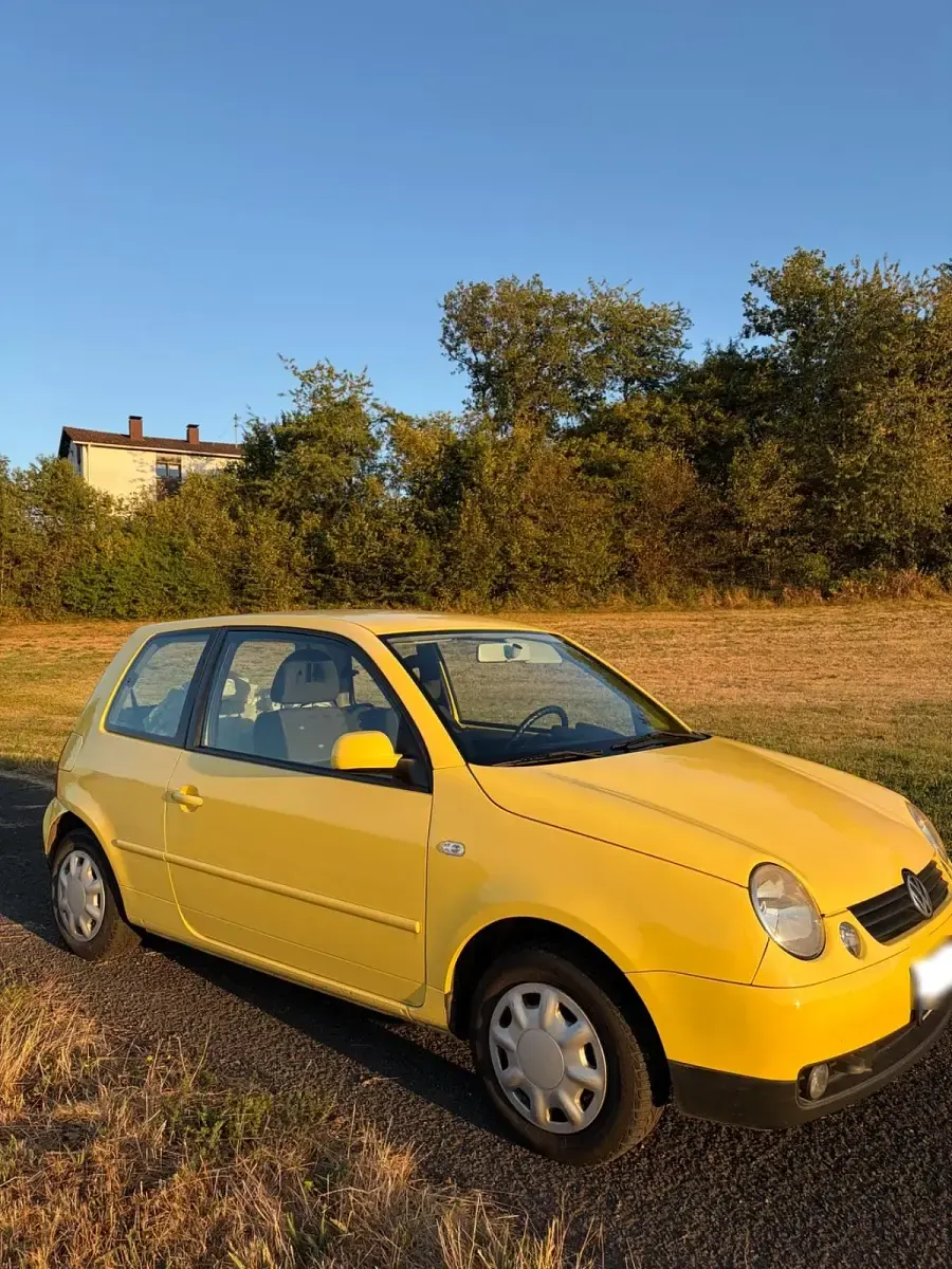 Gebraucht VW Lupo 60 PS (44 kW) 2004 Kleinwagen