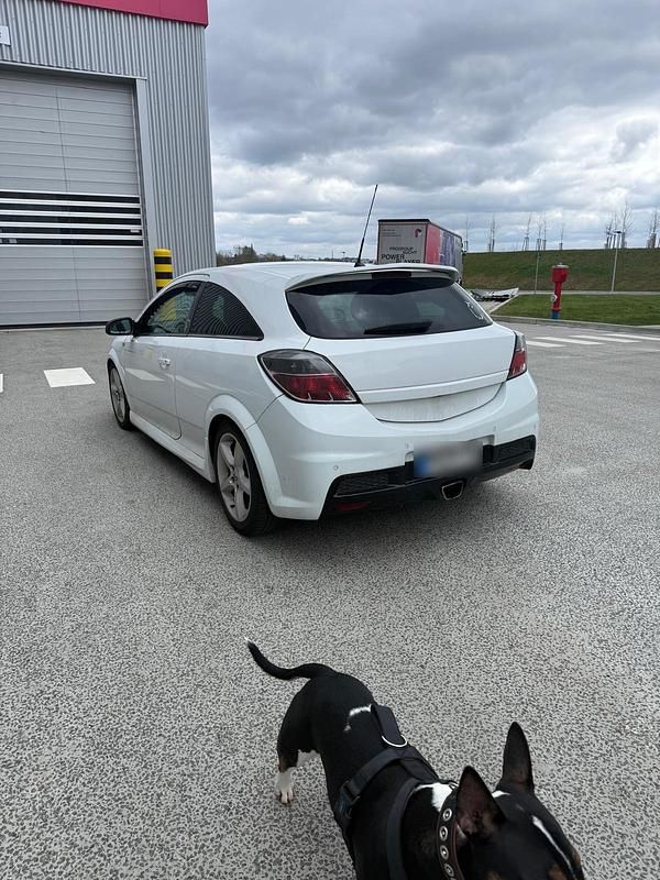 Gebraucht Opel Astra OPC 290 PS (213 kW) 2008 Weiß Coupé