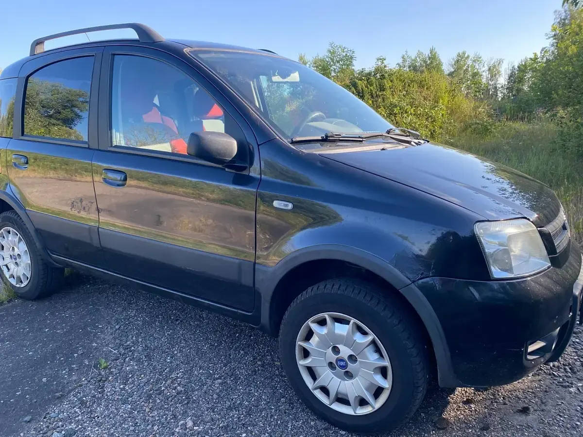 Gebraucht Fiat Panda 4x4 60 PS (44 kW) 2004 Schwarz Kleinwagen