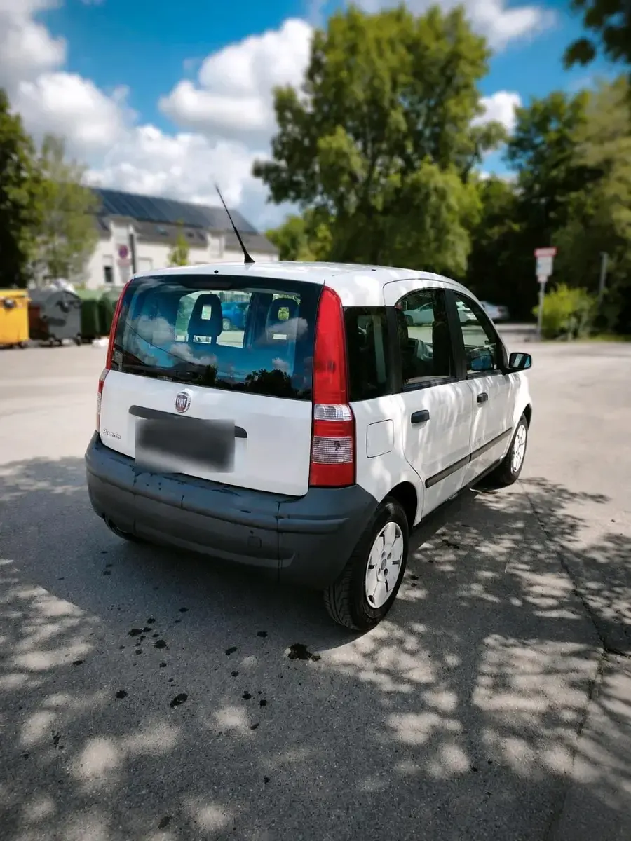 Gebraucht Fiat Panda Active 55 PS (40 kW) 2009 Weiß Kleinwagen