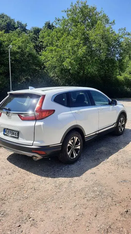 Gebraucht Honda CR-V Comfort 173 PS (127 kW) 2019 Weiß SUV