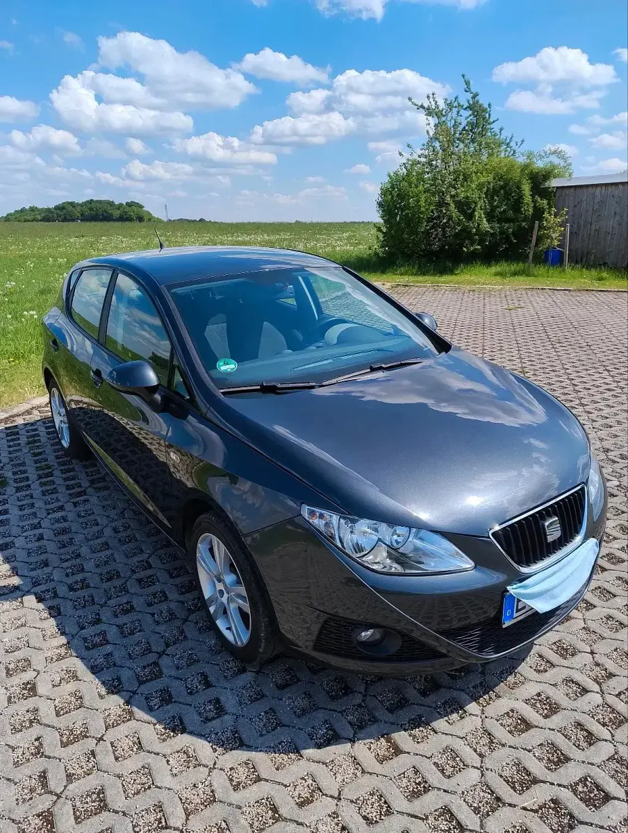 Gebraucht Seat Ibiza Sport 86 PS (63 kW) 2010 Grau Kleinwagen