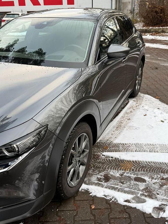 Gebraucht Mazda CX-30 Edition 179 PS (131 kW) 2020 Grau SUV