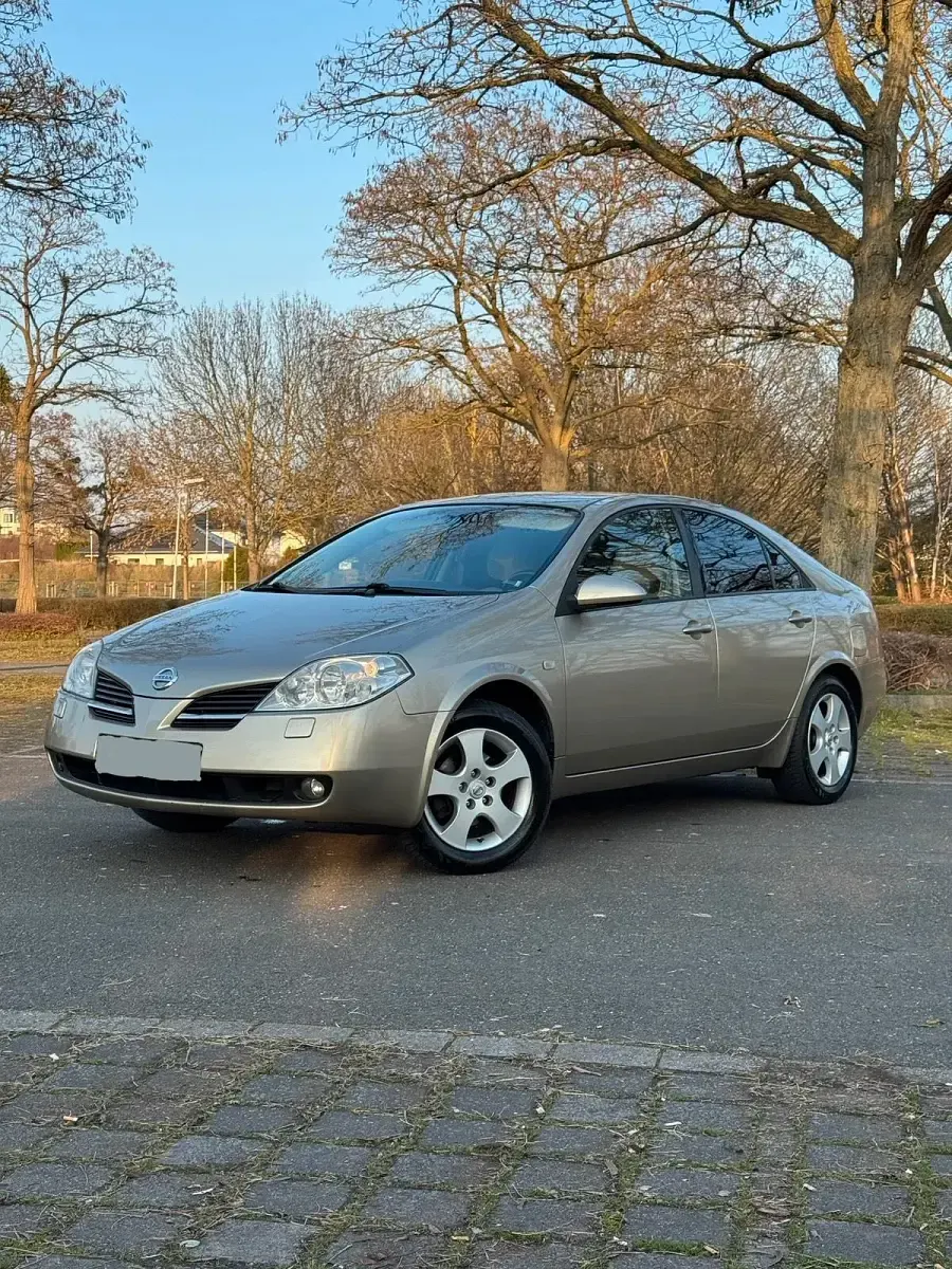 Gebraucht Nissan Primera 118 PS (86 kW) 2003 Limousine