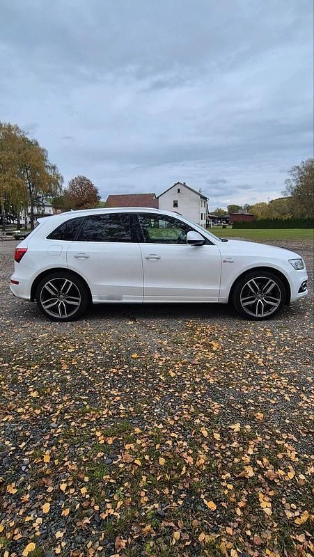 Gebraucht Audi SQ5 Competition 326 PS (239 kW) 2016 Weiß SUV
