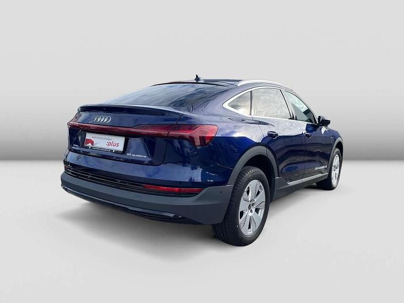 Gebraucht Audi e-tron 300 kW (408 PS) 2021 Navarrablau metallic SUV