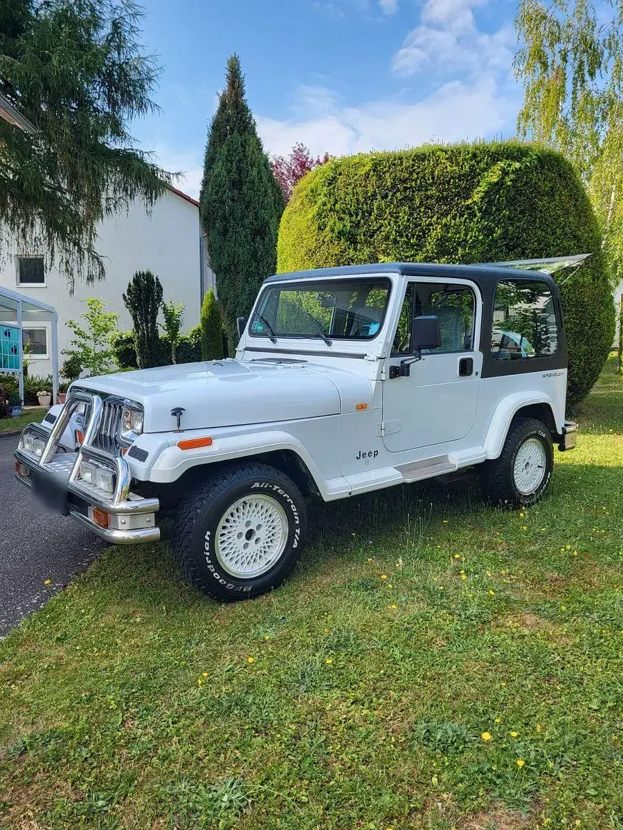Gebraucht Jeep Wrangler 121 PS (88 kW) 1993 Weiß SUV